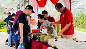 HELLO Market Durian Fiesta