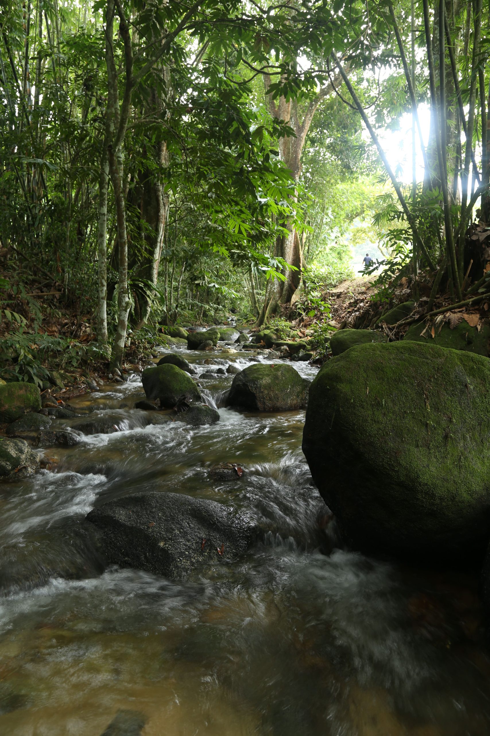 Report Image