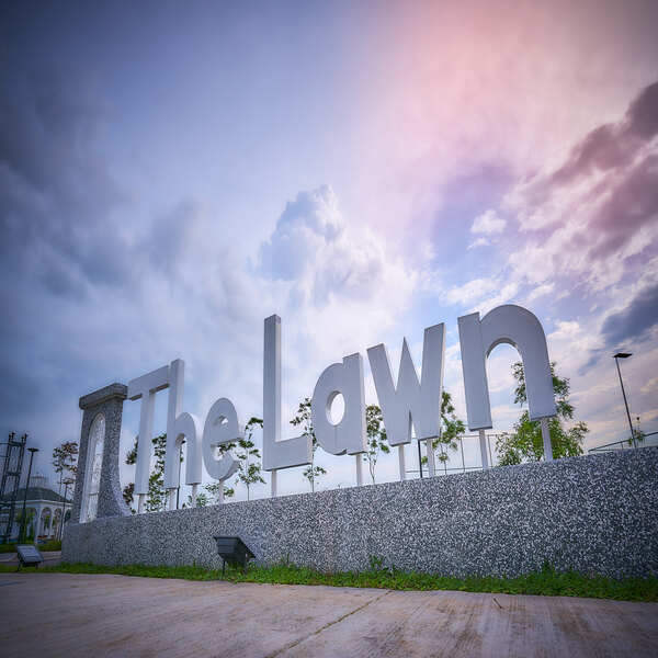 The Lawn