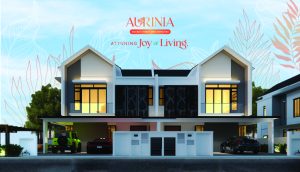 Aurinia