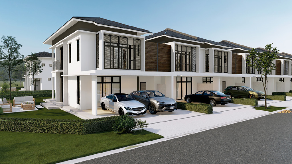 Palmwood 3