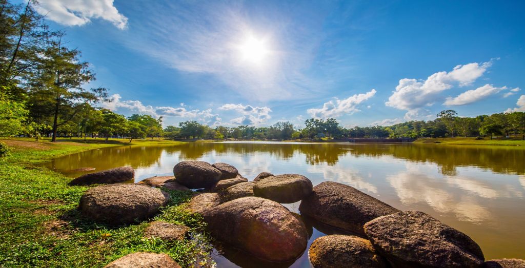  Serene and holistic environment