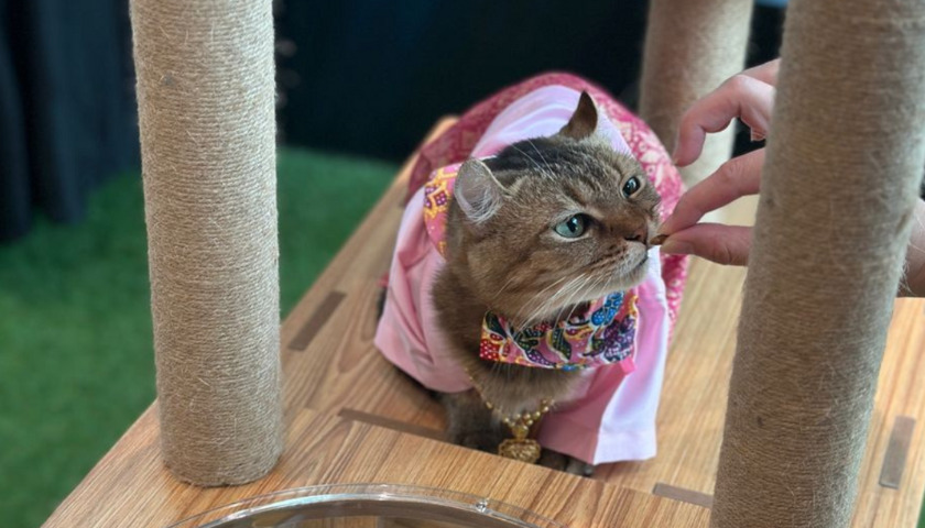 2025 Pawty Time